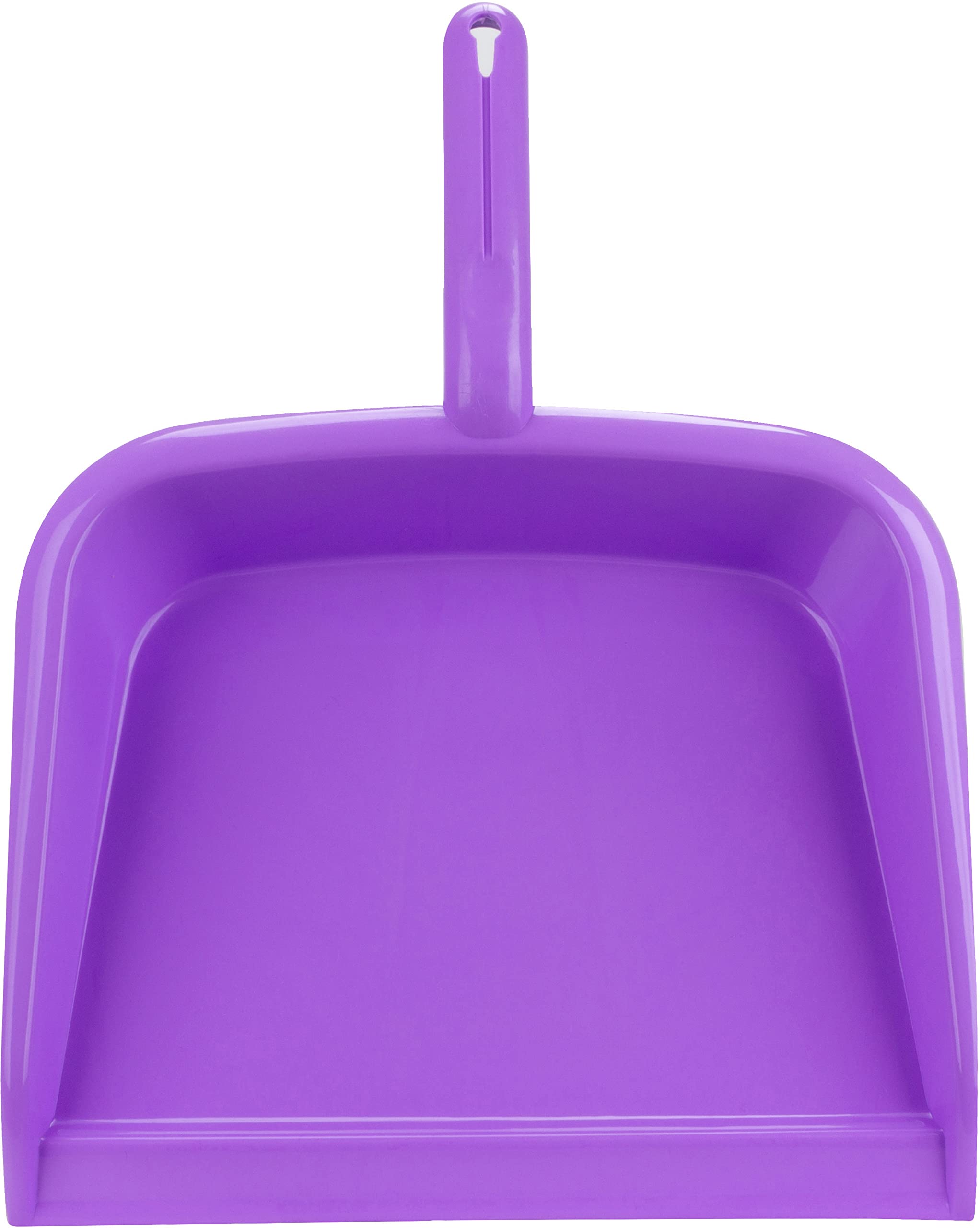 Handheld Dustpan